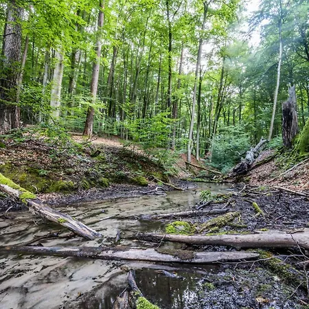 Seeidyll Semesterbostad Neuruppin