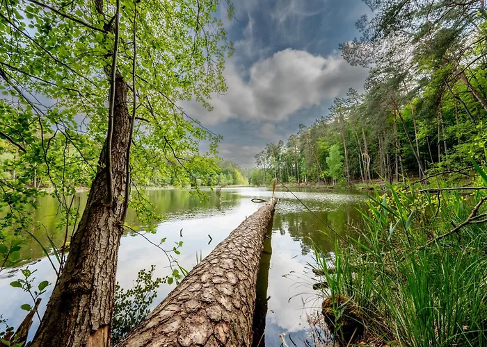 Casa de Férias Seeidyll *