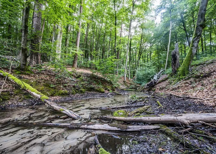 Seeidyll Feriehus Neuruppin